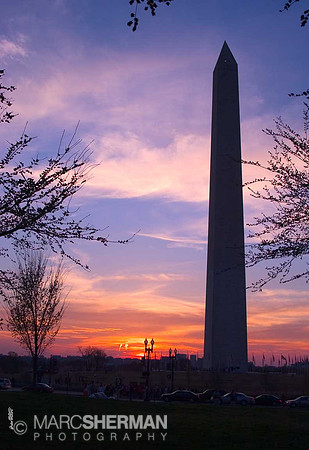 Good Night DC