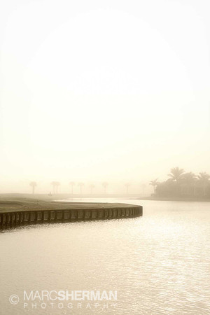 Bent Creek Fog
