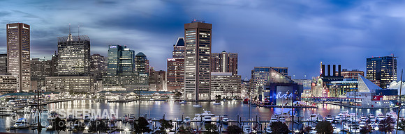 Inner Harbor Nights