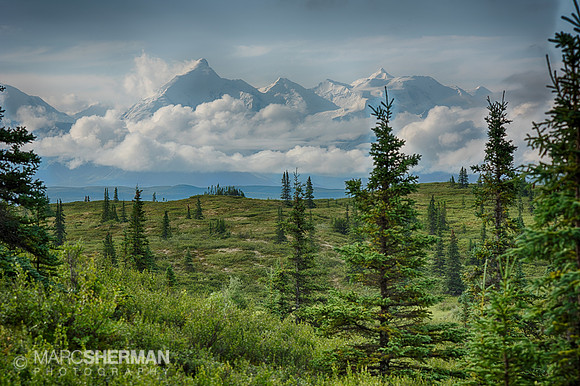 Denali Peeking Through